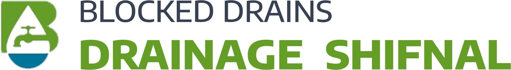 website logo